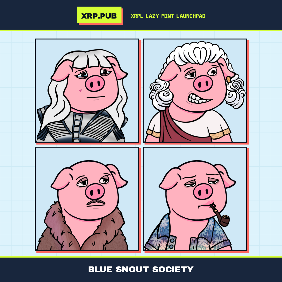 2×2 collage for Blue Snout Society